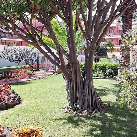 Vv Balconcitos 31 Cancajos 公寓 下布雷尼亚
